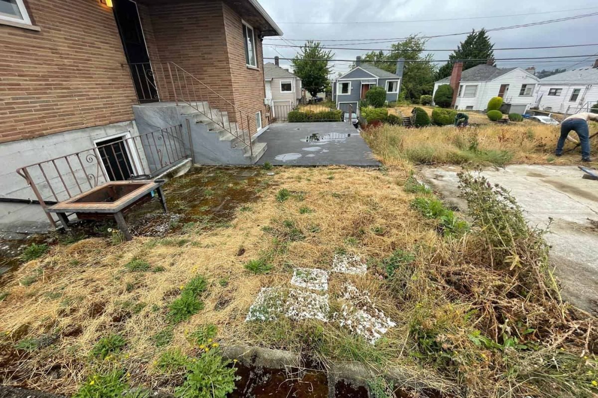 Backyard
